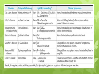 Sphingolipidoses | PPT