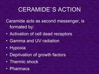 CERAMIDE`S ACTION
Ceramide acts as second messenger, is
 formated by:
• Activation of cell dead receptors
• Gamma and UV radiation
• Hypoxia
• Deprivation of growth factors
• Thermic shock
• Pharmacs
 