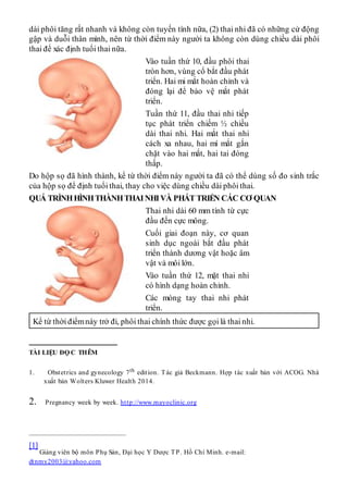Thai nhi trong bụng mẹ và quá trình phát triển