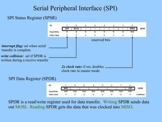 Serial Peripheral Interface (SPI)
SPI Status Register (SPSR)
interrupt flag: set when serial
transfer is complete
write collision: set if SPDR is
written during a receive transfer
2x clock rate: if set, doubles
clock rate in master mode
reserved bits
SPI Data Register (SPDR)
SPDR is a read/write register used for data transfer. Writing SPDR sends data
out MOSI. Reading SPDR gets the data that was clocked into MISO.
 