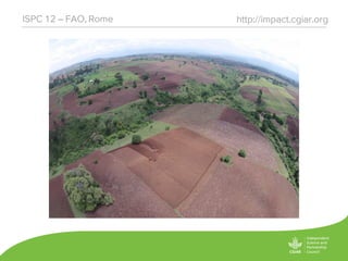 http://impact.cgiar.orgISPC 12 – FAO, Rome
 