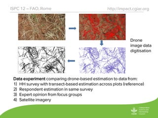 http://impact.cgiar.orgISPC 12 – FAO, Rome
Data experiment comparing drone-based estimation to data from:
1) HH survey with transect-based estimation across plots (reference)
2) Respondent estimation in same survey
3) Expert opinion from focus groups
4) Satellite imagery
Drone
image data
digitisation
 