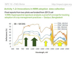 Activity 1.2: Innovations in NRM adoption data collection
http://impact.cgiar.orgISPC 12 – FAO, Rome
Final reports from two pilots we funded from 2013 call
1) IRRI: Hyperspectral signature analysis: a proof of concept for tracking
adoption of crop management practices – Gazipur, Bangladesh
 