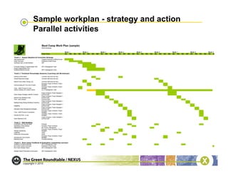 Sample workplan - strategy and action
Parallel activities
 
