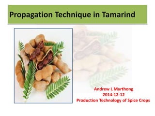 Propagation Technique in Tamarind
Andrew L Myrthong
2014-12-12
Production Technology of Spice Crops
 