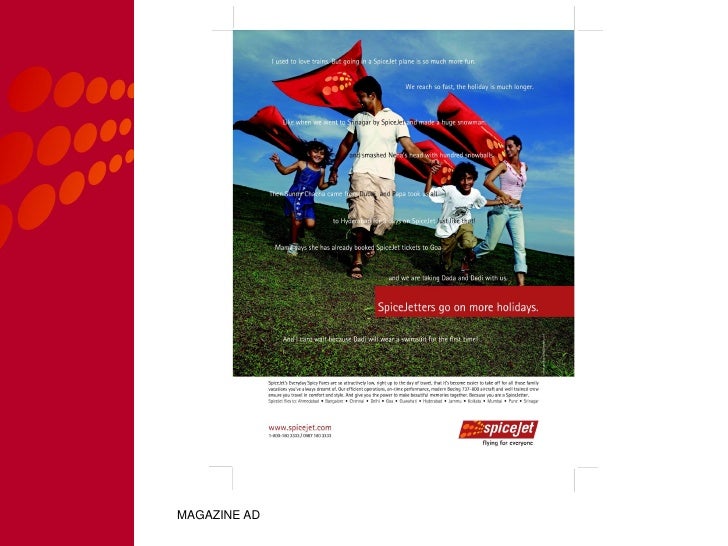 spicejet branding presentation 06 spicejet chart