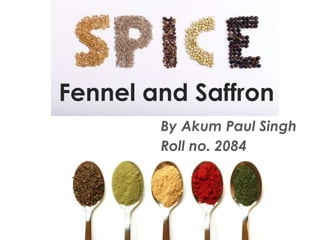 Fennel and Saffron
By Akum Paul Singh
Roll no. 2084
 