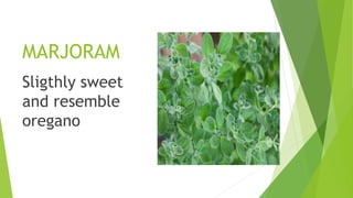 MARJORAM
Sligthly sweet
and resemble
oregano
 