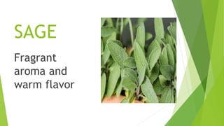 SAGE
Fragrant
aroma and
warm flavor
 