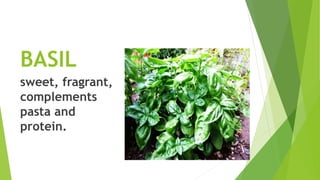 BASIL
sweet, fragrant,
complements
pasta and
protein.
 