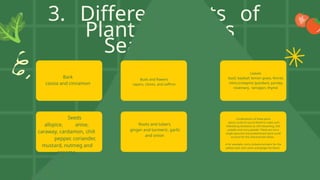 3. Different Parts of
Plant Used as
Seasoning:
Bark
cassia and cinnamon
Buds and flowers
capers, cloves, and saffron
Leaves
basil, bayleaf, lemon grass, fennel,
mint,screwpine (pandan), parsley,
rosemary, tarragon, thyme
Seeds
allspice, anise,
caraway, cardamon, chili
pepper, coriander,
mustard, nutmeg and
sesame.
Roots and tubers
ginger and turmeric, garlic
and onion
Combinations of these parts
spices could of course blend to make such
interesting variations as chili seasoning, chili
powder and curry powder. These are not a
single spice but one predominant spice could
account for the characteristic flavor.
o For example, curry contains turmeric for the
yellow color and cumin and ginger for flavor.
 