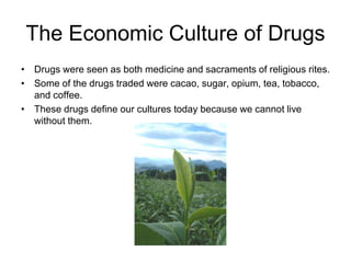 The Economic Culture of Drugs
• Drugs were seen as both medicine and sacraments of religious rites.
• Some of the drugs traded were cacao, sugar, opium, tea, tobacco,
  and coffee.
• These drugs define our cultures today because we cannot live
  without them.
 