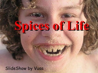 Spices of Life SlideShow by Vusa 