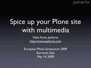 Spice Up Your Plone Site With Multimedia   European Plone Symposium 2009