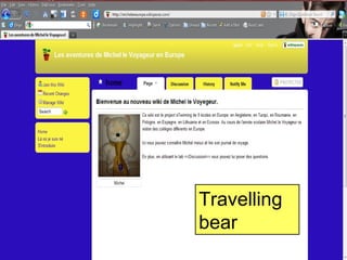 Travelling bear 