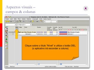 Aspectos visuais –  campos & colunas Clique sobre o título “Nível” e utilize o botão DEL (o aplicativo irá esconder a coluna) 
