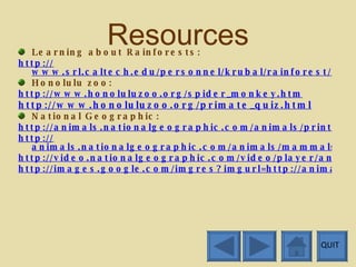 Spider Monkeys | PPT