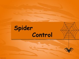 Spider
Control
 