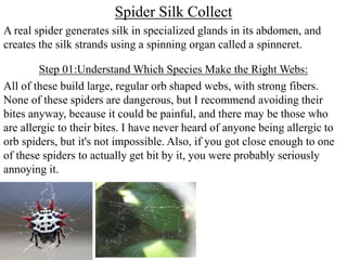 Spider Silk Collect
A real spider generates silk in specialized glands in its abdomen, and
creates the silk strands using a spinning organ called a spinneret.
Step 01:Understand Which Species Make the Right Webs:
All of these build large, regular orb shaped webs, with strong fibers.
None of these spiders are dangerous, but I recommend avoiding their
bites anyway, because it could be painful, and there may be those who
are allergic to their bites. I have never heard of anyone being allergic to
orb spiders, but it's not impossible. Also, if you got close enough to one
of these spiders to actually get bit by it, you were probably seriously
annoying it.
 