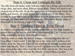 Step 4: Clean and Untangle the Silk
The silk from old spider webs will inevitably have things such as leaves,
twigs, dust, and most often, leftover insect parts. These will need to be
cleaned out of the silk. To do this, use a pair of tweezers and extract the
debris and insects, all while trying not to break any of the fibers. Next,
in order to keep the length of the thread as even in thickness as possible,
untangle the fibers and try to distribute the fibers from thicker parts of
the length to the thinner parts of the length.
Step 5: Combine Fibers & Twist Thread
In order to combine the all the lengths of thread into two long lengths, I
placed the lengths next to each other, overlapping by 2 to 3 inches on the
ends, depending on how thick the fibers were.
Next, in order to make the thread stronger, I twisted together the two
long fibers I had twisted. I did this not in the same way I collected the
fibers, as in the last step. I did this by winding the threads around each
other individually. That is, first I crossed one fiber over the other, and
then crossed the other fiber over the first fiber, and so on. This has to be
done this way in order to keep the already twisted fibers together.
 