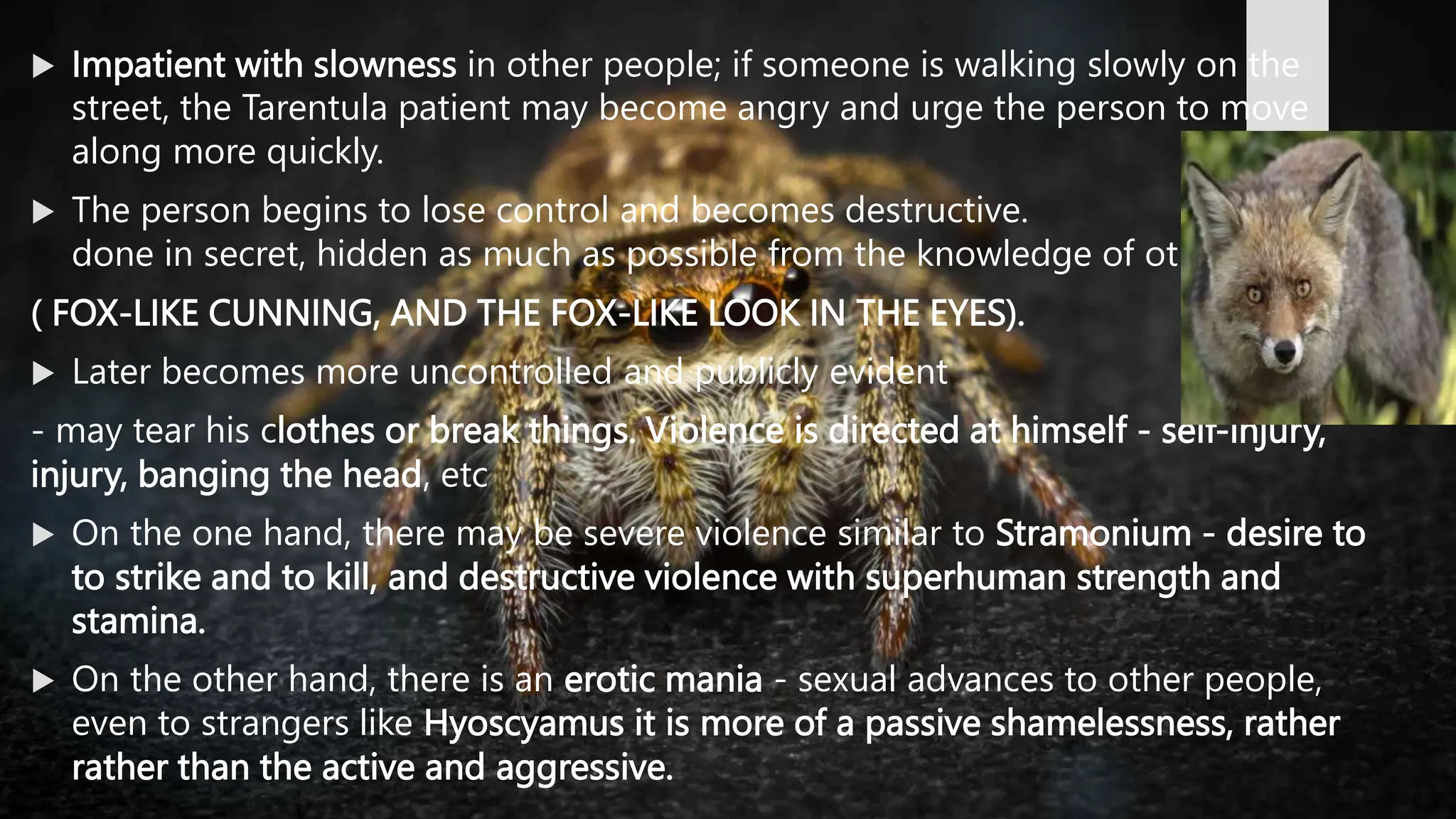 SPIDER GROUP.BHMS.HOMOEOPATHY.MATERIA MEDICA | PPT