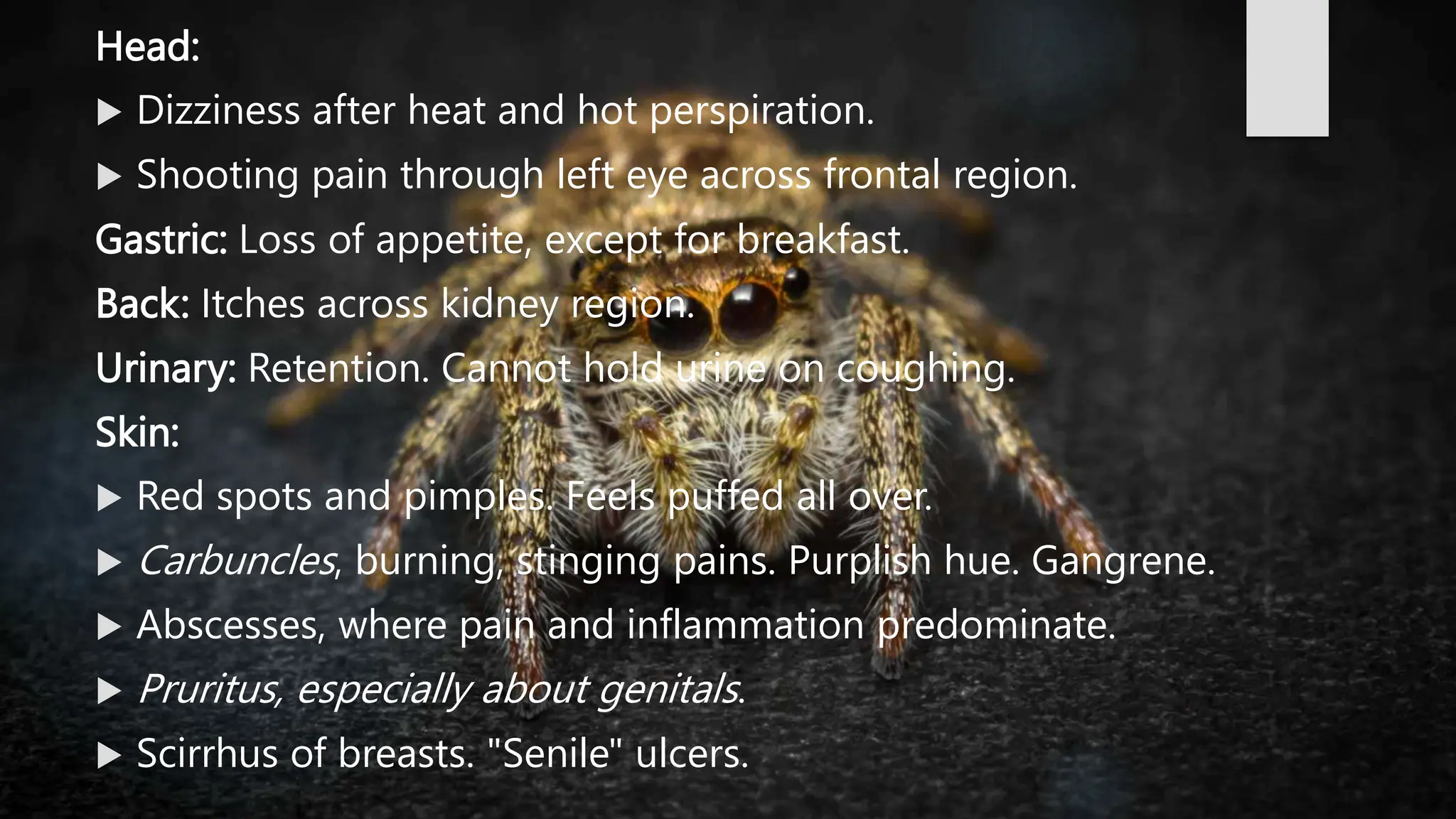 SPIDER GROUP.BHMS.HOMOEOPATHY.MATERIA MEDICA | PPT