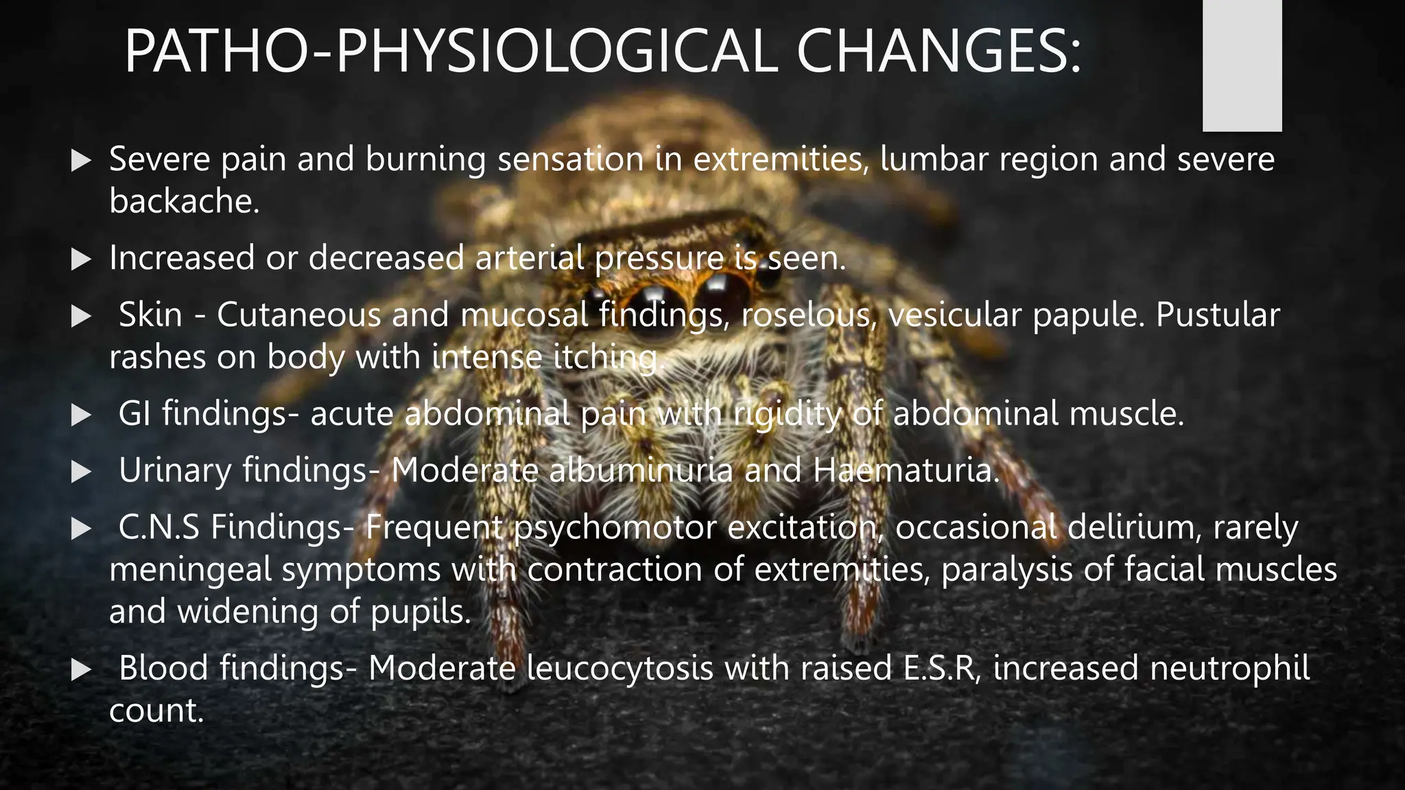 SPIDER GROUP.BHMS.HOMOEOPATHY.MATERIA MEDICA | PPT