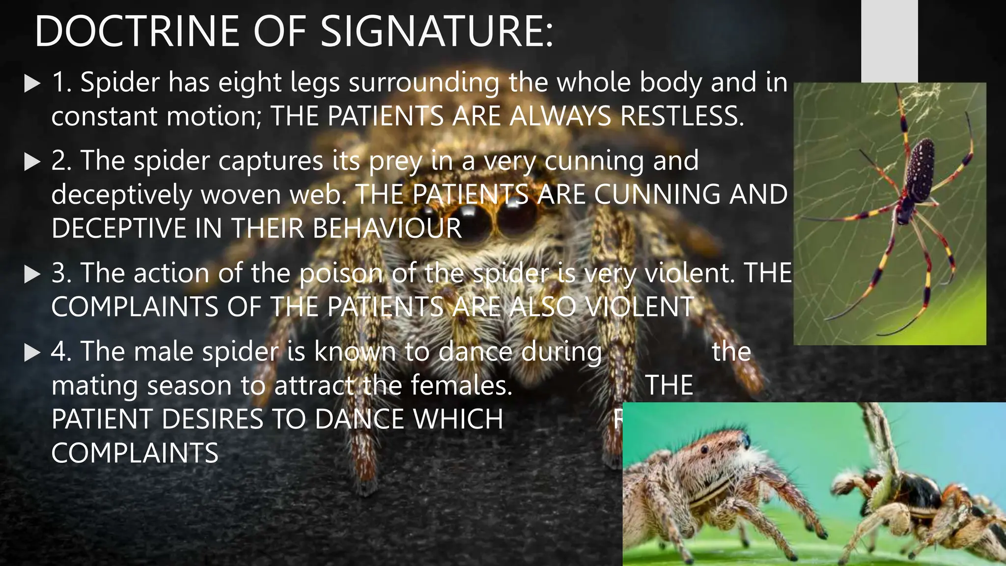 SPIDER GROUP.BHMS.HOMOEOPATHY.MATERIA MEDICA | PPT