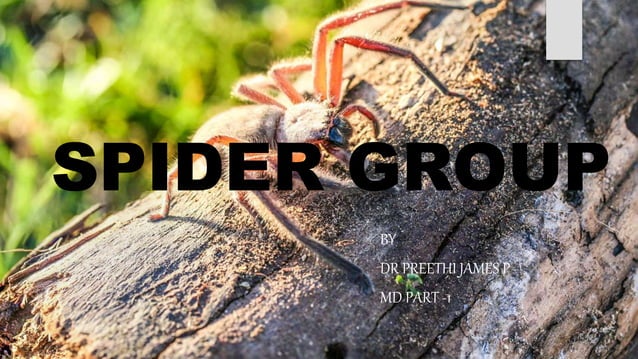 SPIDER GROUP.BHMS.HOMOEOPATHY.MATERIA MEDICA | PPT