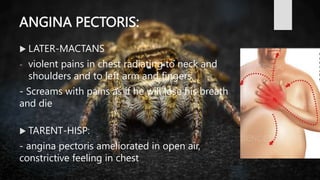 Spider Chest Compression SPIDER GROUP.BHMS.HOMOEOPATHY.MATERIA MEDICA | PPTX
