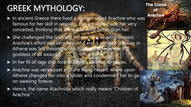 SPIDER GROUP.BHMS.HOMOEOPATHY.MATERIA MEDICA | PPT