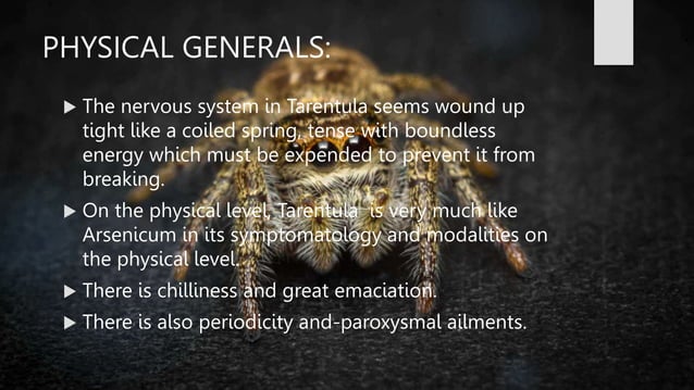 SPIDER GROUP.BHMS.HOMOEOPATHY.MATERIA MEDICA | PPT