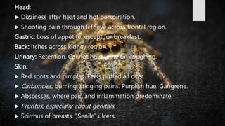 Pathologic Spider SPIDER GROUP.BHMS.HOMOEOPATHY.MATERIA MEDICA | PPTX