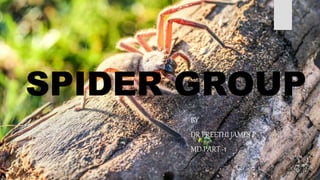 SPIDER GROUP
BY
DR PREETHI JAMES P
MD PART -1
 