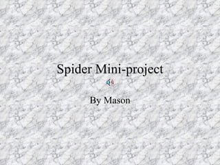 Spider Mini-project By Mason 