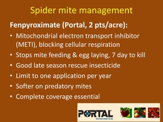 Spider mite management
Fenpyroximate (Portal, 2 pts/acre):
• Mitochondrial electron transport inhibitor
  (METI), blocking cellular respiration
• Stops mite feeding & egg laying, 7 day to kill
• Good late season rescue insecticide
• Limit to one application per year
• Softer on predatory mites
• Complete coverage essential
 