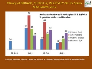 Efficacy of BRIGADE, SUFFOIL-X, JMS STYLEY-OIL for Spider
                     Mite Control 2012
                              56
                                             Reduction in mites with JMS Stylet-Oil & Suffoil-X
                                             is good but action could be slow!
                                                 45

                         35        34
                                                          32
                                                                                27   Untreated check
                                        23           26
                                                                                     Suffoil-X (0.01%)
                                                                           18        JMS Stylet-Oil (3 qt)
    14                                         17
                                                                   11 12             Bifenthrin 5 oz/A




       27 Sept.               3 Oct.             12 Oct.              19 Oct.

Crop was tomatoes. Location: Chilton REC, Clanton, AL. Numbers indicate spider mites on 40 tomato plants.
 