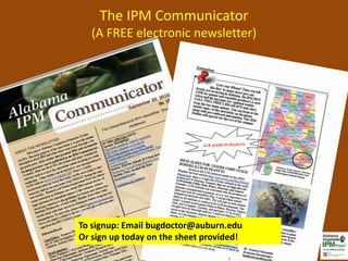 The IPM Communicator
   (A FREE electronic newsletter)




To signup: Email bugdoctor@auburn.edu
Or sign up today on the sheet provided!
 