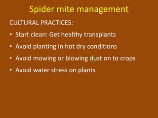Spider mite management
CULTURAL PRACTICES:
• Start clean: Get healthy transplants
• Avoid planting in hot dry conditions
• Avoid mowing or blowing dust on to crops
• Avoid water stress on plants
 