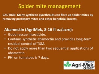Spider mite management
CAUTION: Many synthetic pyrethroids can flare up spider mites by
removing predatory mites and other beneficial insects.


 Abamectin (AgriMek, 8-16 fl oz/acre):
 • Good rescue insecticide.
 • Contains synthetic abamectin and provides long-term
   residual control of TSM.
 • Do not apply more than two sequential applications of
   abamectin.
 • PHI on tomatoes is 7 days.
 