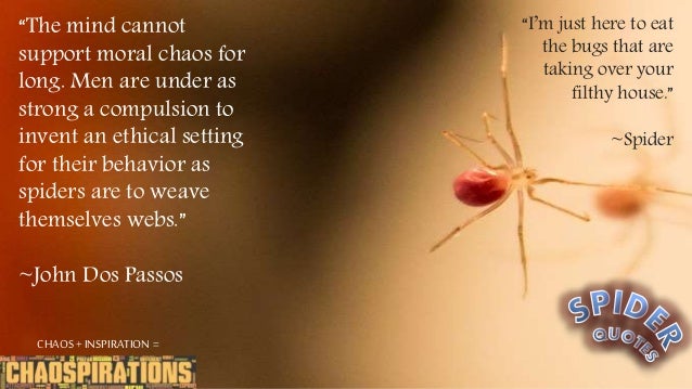 spider quotes