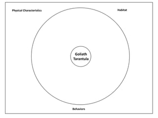 Physical Characteristics Habitat
Behaviors
Goliath
Tarantula
 