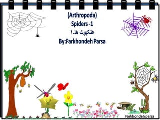 Spiders  1