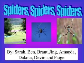 Spiders, Spiders, Spiders, By: Sarah, Ben, Brant,   Jing, Amanda, Dakota, Devin and Paige 