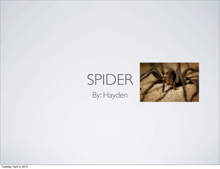 SPIDER
                         By: Hayden




Tuesday, April 9, 2013
 
