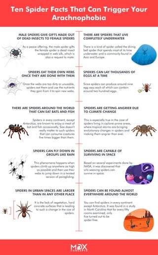 Ten Spider Facts That Can Trigger Your
Arachnophobia
MALE SPIDERS GIVE GIFTS MADE OUT
OF DEAD INSECTS TO FEMALE SPIDERS
THERE ARE SPIDERS THAT LIVE
COMPLETELY UNDERWATER
As a peace offering, the male spider gifts
the female spider a dead insect
wrapped in web silk, which is
also a request to mate.
THERE ARE SPIDERS AROUND THE WORLD
THAT CAN EAT BATS AND FISH
Spiders in every continent, except
Antarctica, are known to enjoy a meal of
bat and fish occasionally. Size doesn’t
really matter to such spiders
that can consume creatures
five times bigger than them.
SPIDERS CAN FLY DOWN IN
GROUPS LIKE RAIN
This phenomena happens when
spiders climb up anywhere as high
as possible and then use their
webs to jump down in a twisted
version of paragliding.
SPIDERS IN URBAN SPACES ARE LARGER
THAN IN ANY OTHER PLACE
It is the lack of vegetation, hard
concrete surfaces that is leading
to such a change in the size of
spiders.
SPIDERS EAT THEIR OWN WEBS
ONCE THEY ARE DONE WITH THEM
Once the webs are too dirty or unusable,
spiders eat them and use the nutrients
they gain from it to spin new webs.
There is a kind of spider called the diving
bell spider that spends most of its time
underwater and is commonly found in
Asia and Europe.
SPIDERS ARE CAPABLE OF
SURVIVING IN SPACE
Based on several experiments done by
NASA, it was discovered that
orb-weaving spiders can
survive in space.
SPIDERS CAN BE FOUND ALMOST
EVERYWHERE AROUND THE WORLD
You can find spiders in every continent
except Antarctica. It was found in a study
in North Carolina that for every fifty
rooms examined, only
five turned out to be
spider-free.
SPIDERS ARE GETTING ANGRIER DUE
TO CLIMATE CHANGE
This is especially true in the case of
spiders living in cyclone-prone areas,
where tropical storms are bringing
evolutionary changes in spiders and
making them angrier than ever.
SPIDERS CAN LAY THOUSANDS OF
EGGS AT A TIME
Since spiders can produce around nine
egg sacs each of which can contain
around two hundred eggs.
 