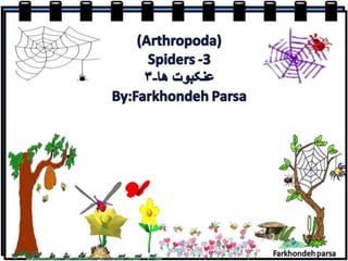 Spiders  3