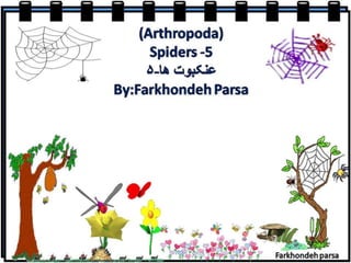 Spiders  5