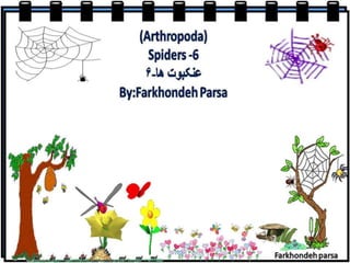 Spiders  6