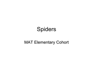 Spiders MAT Elementary Cohort 